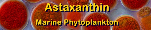 Ormus Minerals Ocean Nectar Ingredient Astaxanthin Marine Phytoplankton Benefits